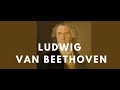 Capture de la vidéo Ludwig Van Beethoven - A Biography: His Life And Places (Docu)