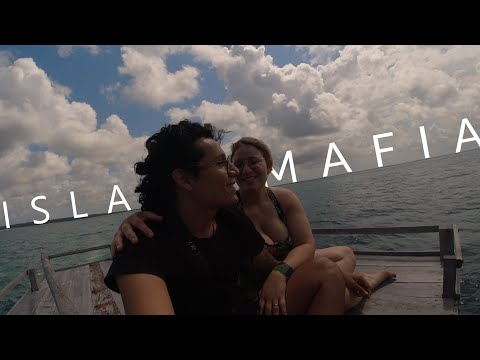 Video: Mafia Island, Tanzania: la guía completa