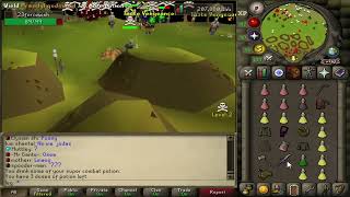 RuneWild RSPS pking #9 leftovers