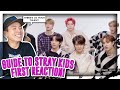 FIRST TIME REACTING TO an introduction to: stray kids (2020 edition)![REACTION]