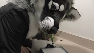 Wolfred goes to commission a GIF Pack for Telegram #shorts