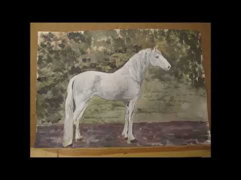 как рисовать лошадь поэтапно
