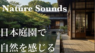 【4hours】 Japanese Birds & River For Deep Relaxing / 日本庭園の自然を楽しむBGM