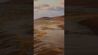 Create a Beach in 5 minutes ⛱️ #ue5 #unrealengine5tutorial #fluidflux #tutorial #waves #gamedev