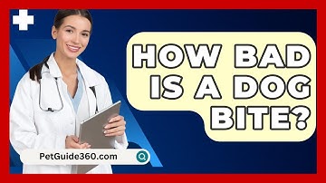 How Bad Is A Dog Bite? - PetGuide360.com