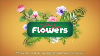 Flowers Bloom For After Effects