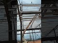 Prefabricated commercial building#automobile #buildings #prefabworkshop #steelstructure