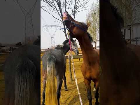 𝙱𝚎 𝚠𝚑𝚘 𝚢𝚘𝚞 𝚠𝚊𝚗𝚝 𝚝𝚘 𝚋𝚎 𝚊𝚗𝚍 𝚗𝚘𝚝 𝚠𝚑𝚊𝚝 𝚘𝚝𝚑𝚎𝚛𝚜 𝚠𝚊𝚗𝚝 𝚝𝚘 𝚜𝚎𝚎