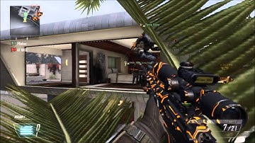 Bo2 Raid tree glitch
