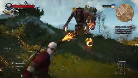 The Witcher 3 - Cyclops fight