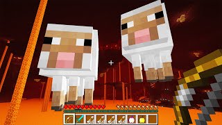 I found the CURSED NETHER WORLD with GHAST SHEEP and a HUNGRY FROG in MINECRAFT! by Scrapy 472,117 views 1 year ago 10 minutes, 14 seconds