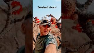 Zululand Views #shorts