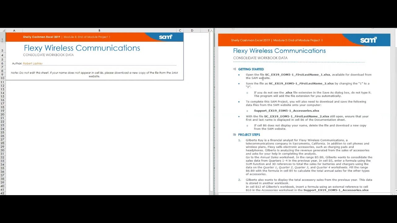 Excel Module 5 Project 1 Help - Flexy Wireless Advanced Functions Complete Guide