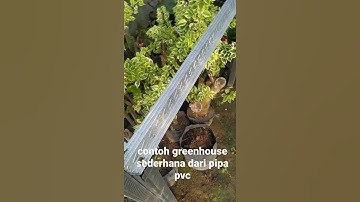 Thumbnail of green house rangka pipa pvc dan baja ringan #shorts