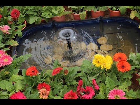 رصد جولة في معرض زهور الربيع بحديقة الأورمان