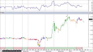 ลุงโฉลกชวนมาเรียน CDC Basic Action Zone