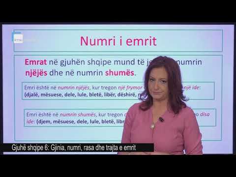 Gjuhë shqipe 6 - Gjinia, numri, rasa dhe trajta e emrit