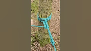 making rope bridges 🌉