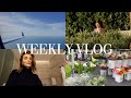 A big weekly vlog farmers market home organizing lots of cooking fashion etc l olivia jade