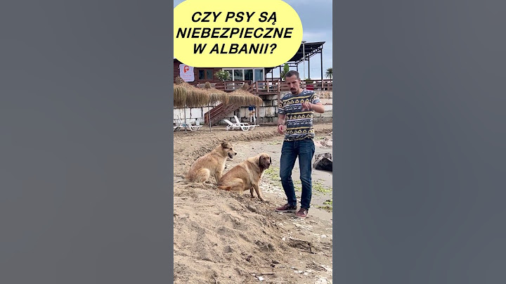 Czy psy są niebezpieczne w Albanii? #albania