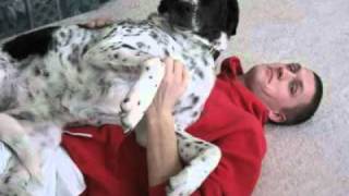 Celine Dion - My Heart Will Go On Cover...debut To My Dog Dixie