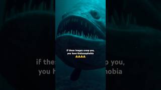 Are You Afraid Of The Ocean? Let’s See