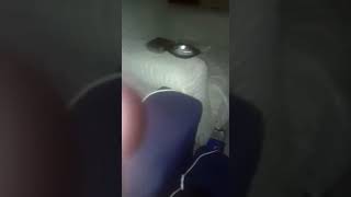 جرح الماضي عم تتمحن لا فحل الموقع سمعها