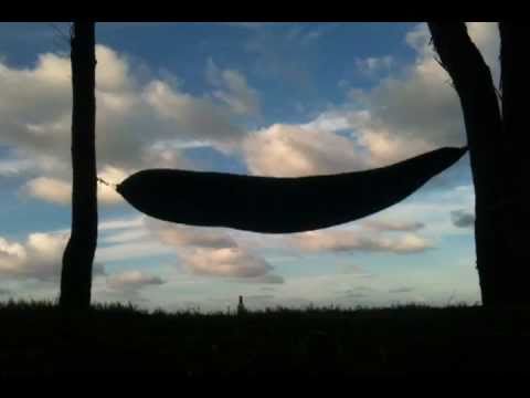 ირაკლი ჩარკვიანი - ისტორიას  istorias