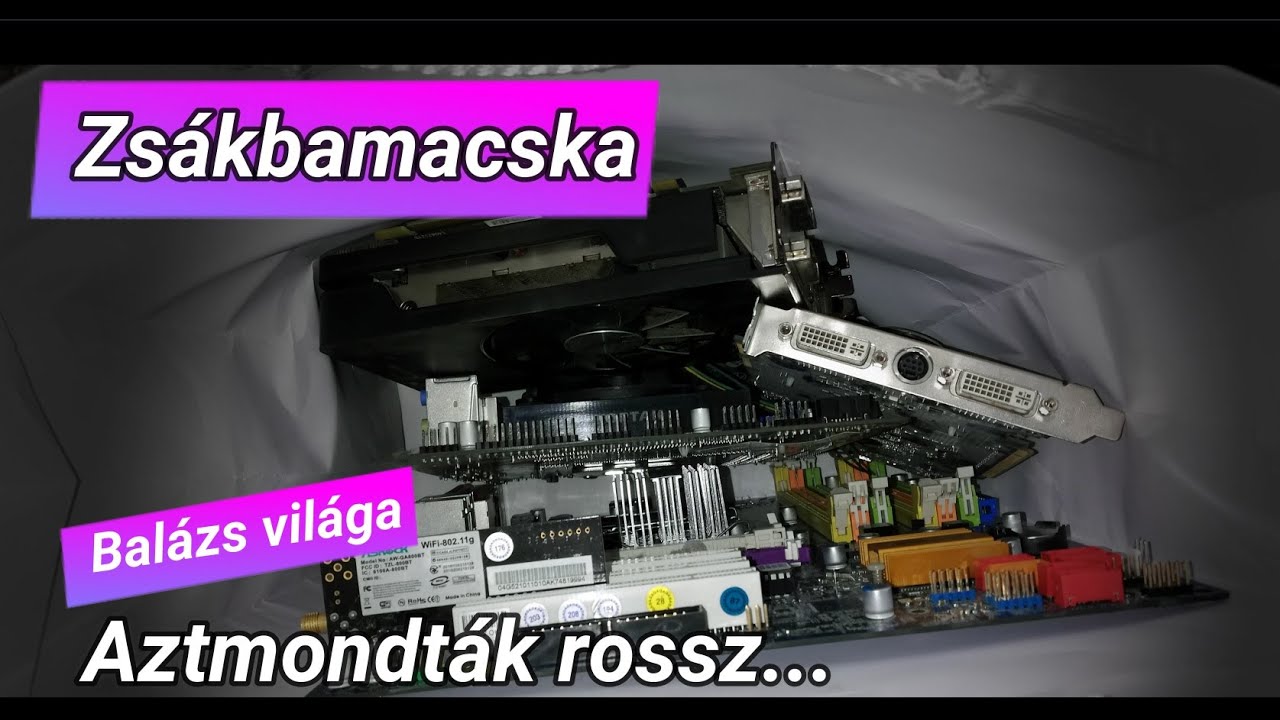 Zsákbamacska: