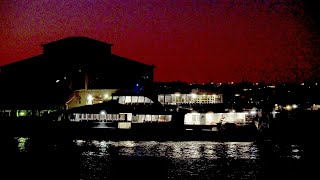 Auckland First Ferries 4K