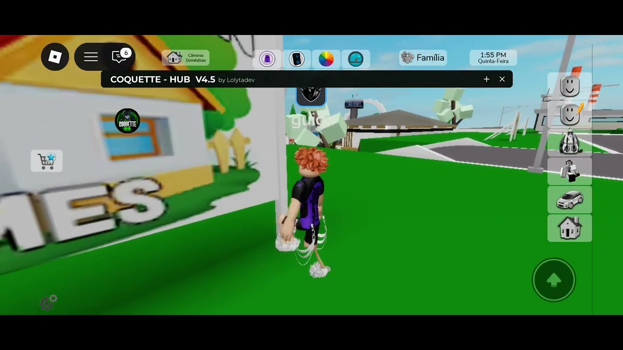 Parte 2 - mostrando o coquette hub pra vocês