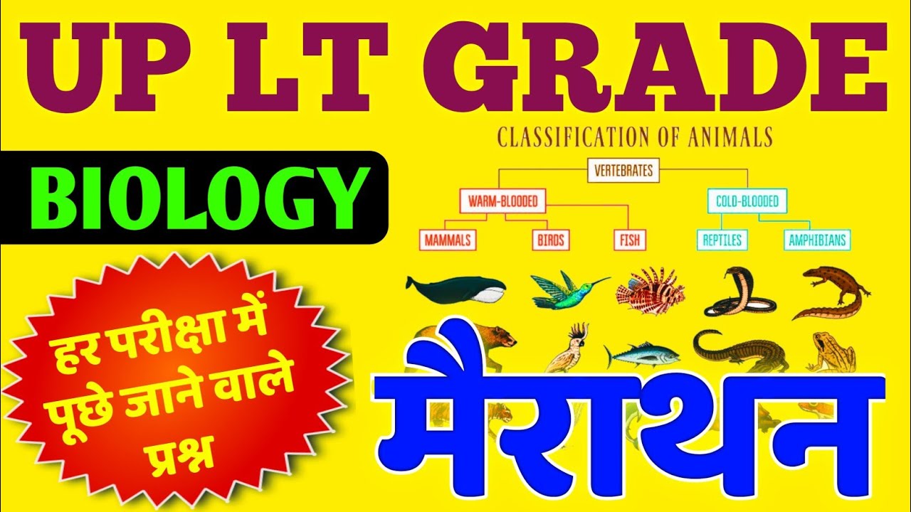 Lt grade Biology मैराथन | lt grade biology Marathon class | classification of animal kingdom MCQ