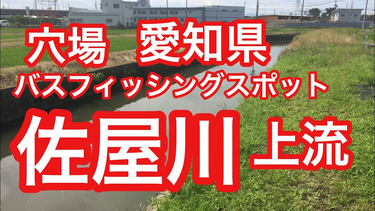 佐屋川 上流 穴場バス釣りポイント Youtube