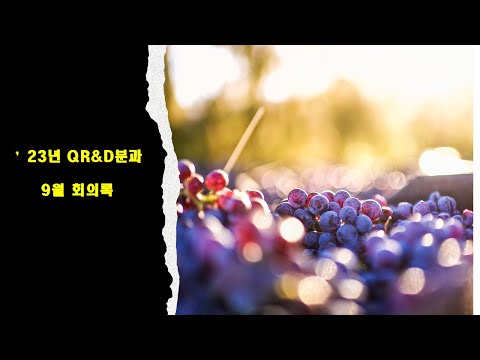 QR&D 23년 9월 회의록 입니다