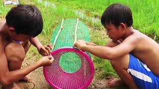 Primitive Technology: Awesome Quick Python Trap Using Red Basket And Nets That Work 100% By two Boys