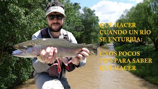 Que hacer cuando un río se enturbia ✔✔✔😉😉