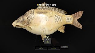 Russian Fishing 4 Amber Lake Trophy Mirror Ghost Carp