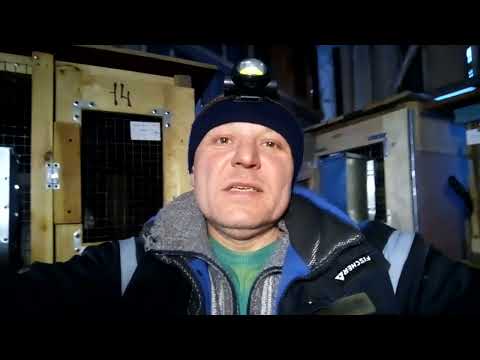 Комбикорм и растительные