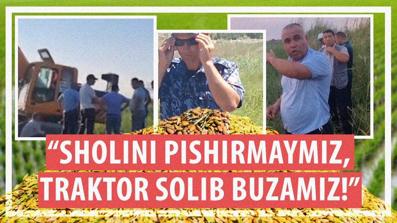 Fermerlarning sholisi buzib tashlandi. Oziq-ovqat xavfsizligi qaerda qoldi?