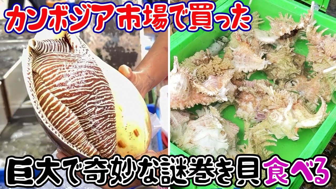 Eating a giant, strange, mysterious conch I bought at a Cambodian