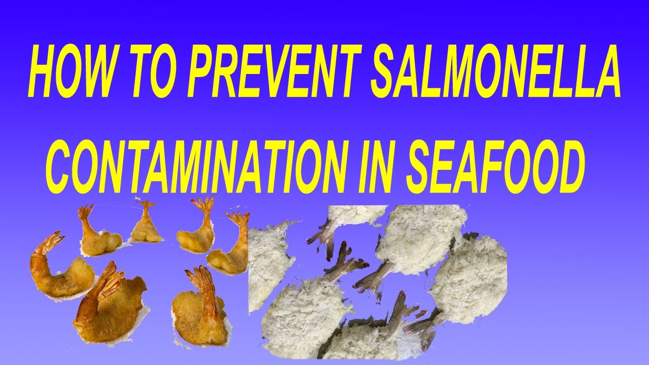 How To Prevent Recontamination of Salmonella In Cooked Frozen Shrimps