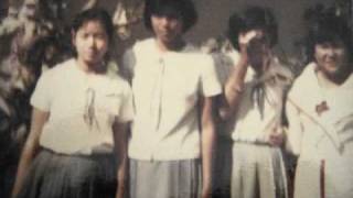 JASHS '81 