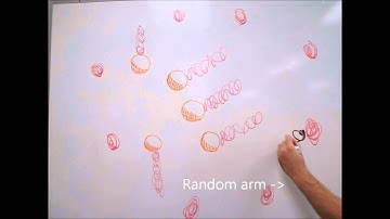 Virus-like particles (VLPs) for Drug Delivery