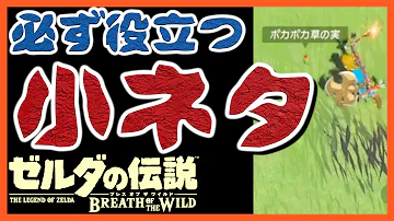 ゼルダの伝説ブレスオブザワイルド実用できる小ネタ