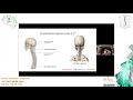 10th Spine Update: Cervical Spine Anatomy - Dr. K. Daniel Riew