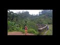 Ella & Nuwaraeliya