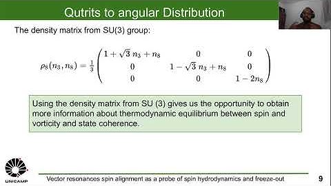 Vector resonances spin alignment as a probe of spin hydrodynamics and freeze-out