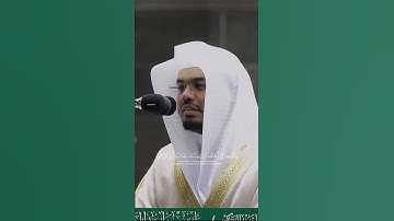 القارئ ياسر الدوسري 🩶