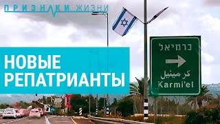 Олимы. Израиль во время войны глазами новых репатриантов | ПРИЗНАКИ ЖИЗНИ