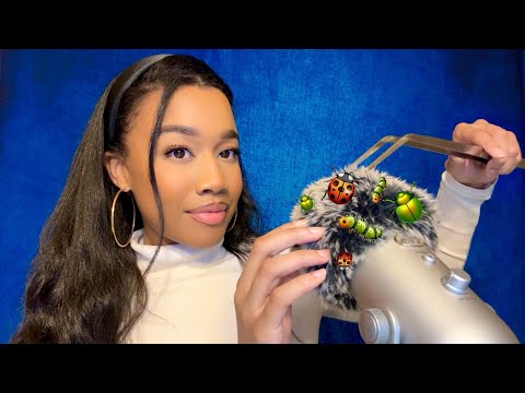 ASMR Bug Searching 🐛🪲🔦 Mic Rubbing | Plucking Sounds